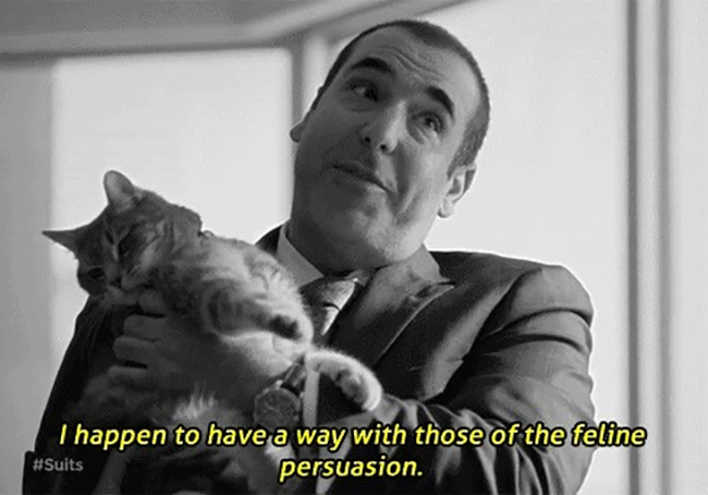 10 fun facts about Suits //Louis Litt & "those of the feline persuasion"