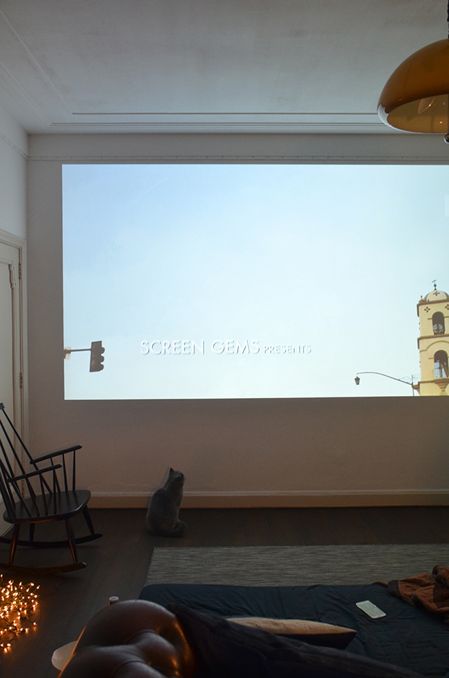 Home Renovation: Our Office / Cinema Room